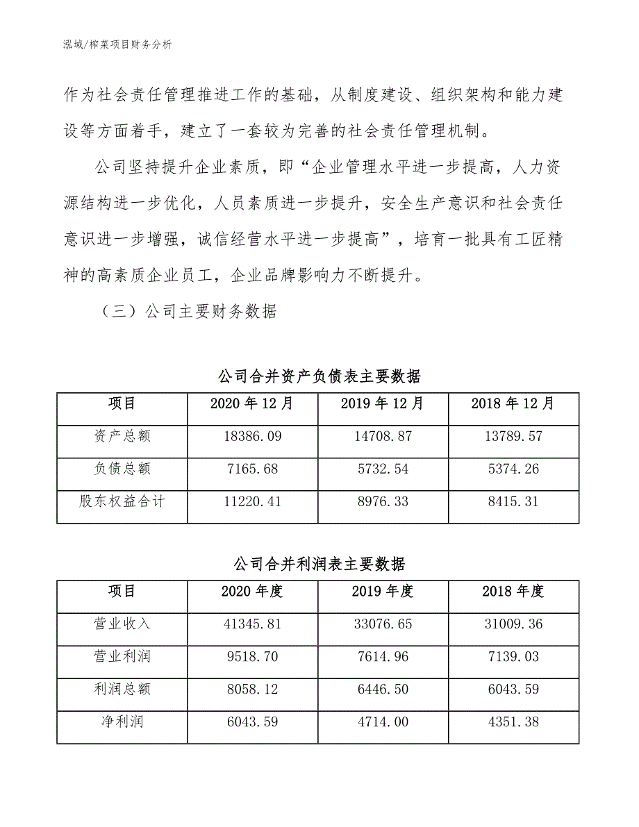 榨菜项目财务分析_第4页