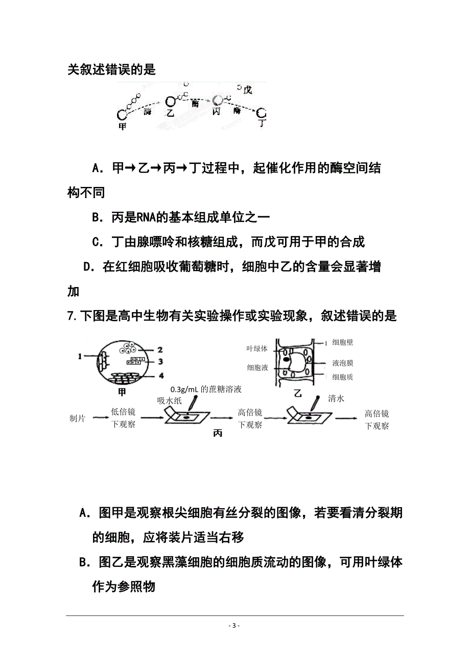 江苏省扬州市宝应县画川高级中学高三10月调研测试生物试题 及答案_第3页