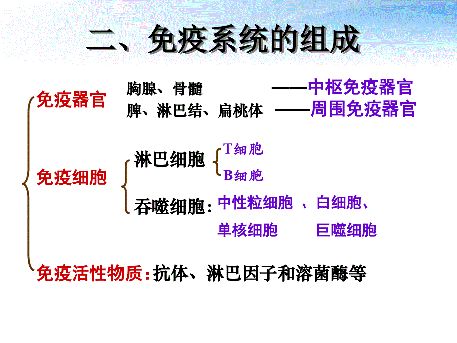 周五课 免疫调节_第4页