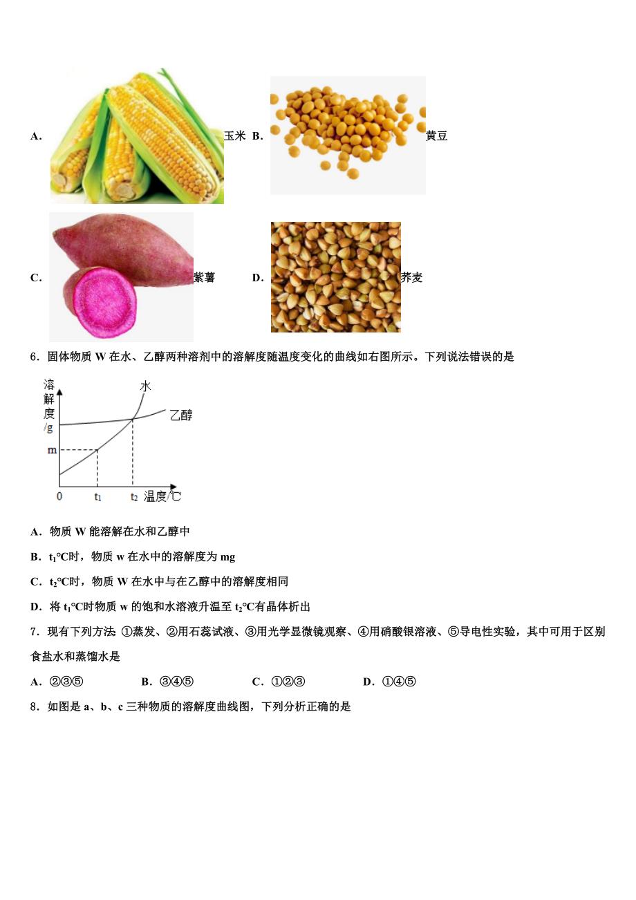 湖北省武汉二中广雅中学2023学年中考化学全真模拟试题（含解析）.doc_第2页