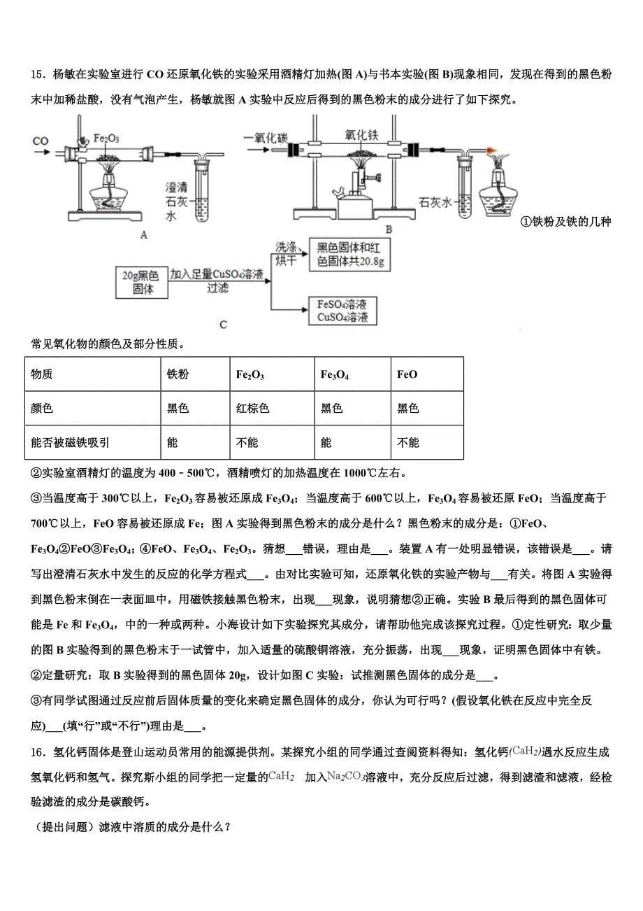 湖北省武汉二中广雅中学2023学年中考化学全真模拟试题（含解析）.doc_第5页