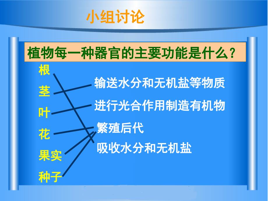 第三节植物体的结构层次第四节_第4页