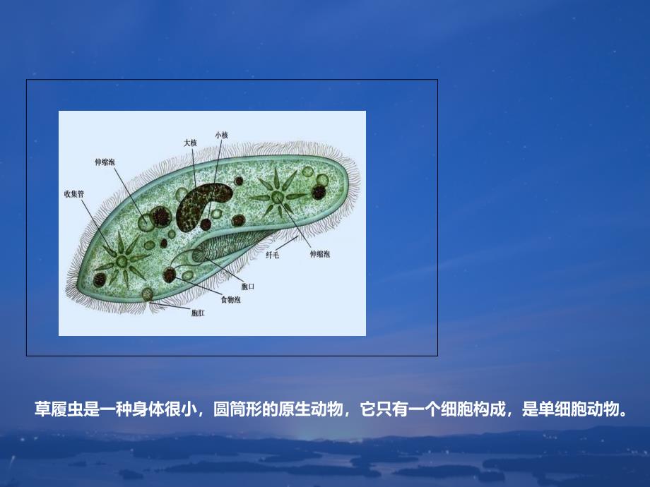 种群群落生态系统生物圈_第4页