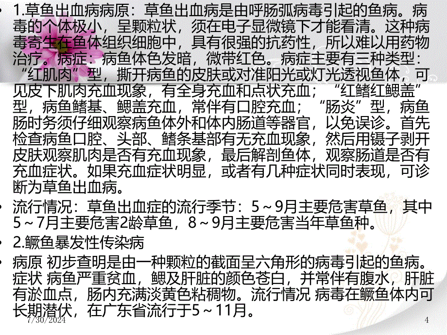 兽药求购信息常见的鱼病_第4页