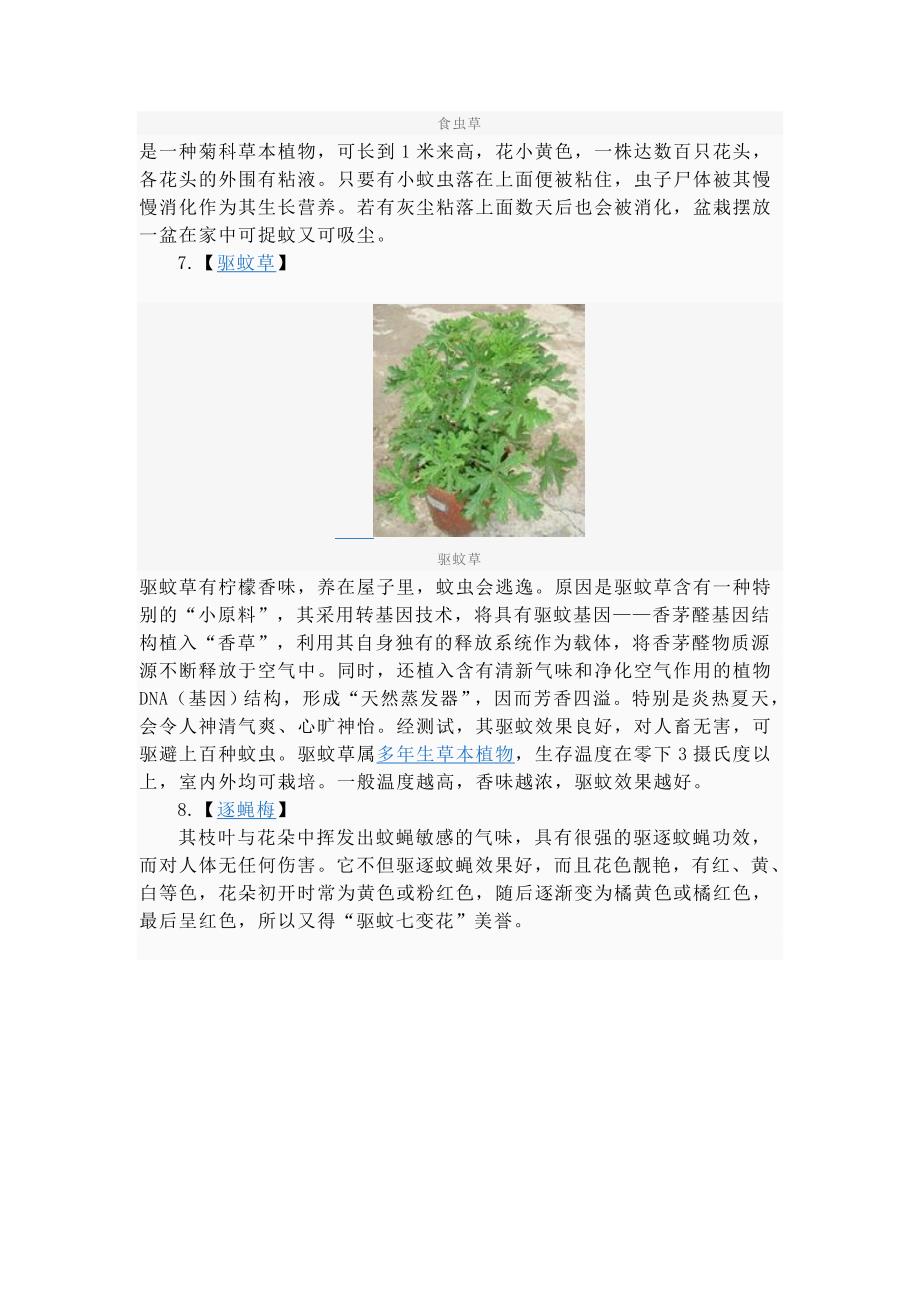 常见驱蚊植物.doc_第3页