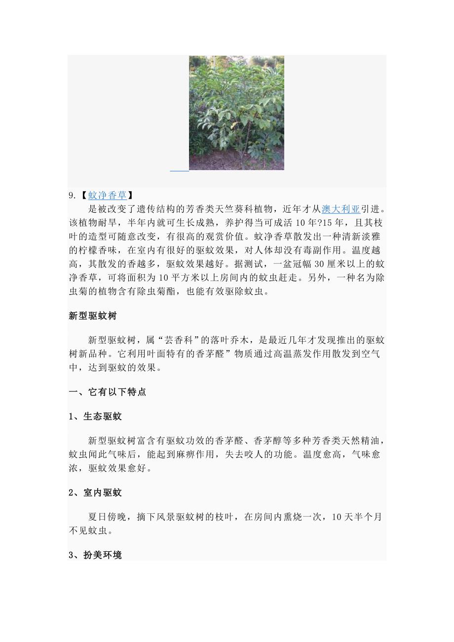 常见驱蚊植物.doc_第4页