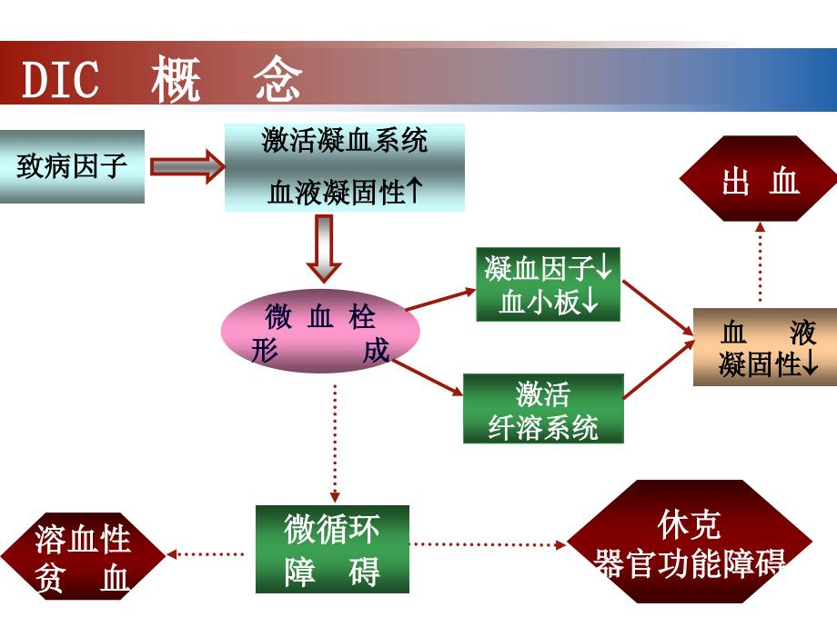 病理生理学课件：12 弥 散 性 血 管 内 凝 血_第4页