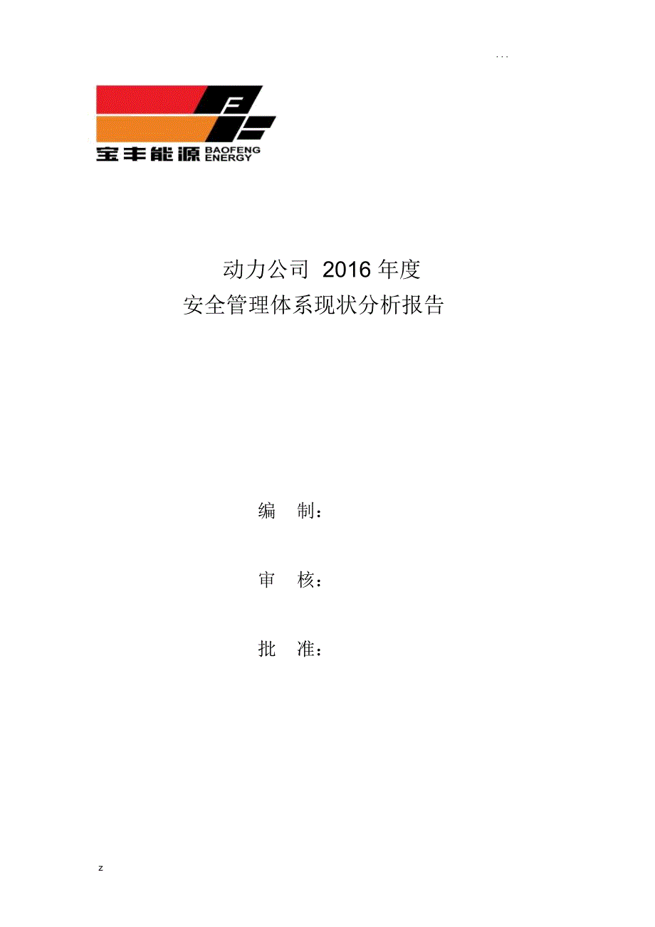 动力公司安全管理体系现状分析实施报告_第1页