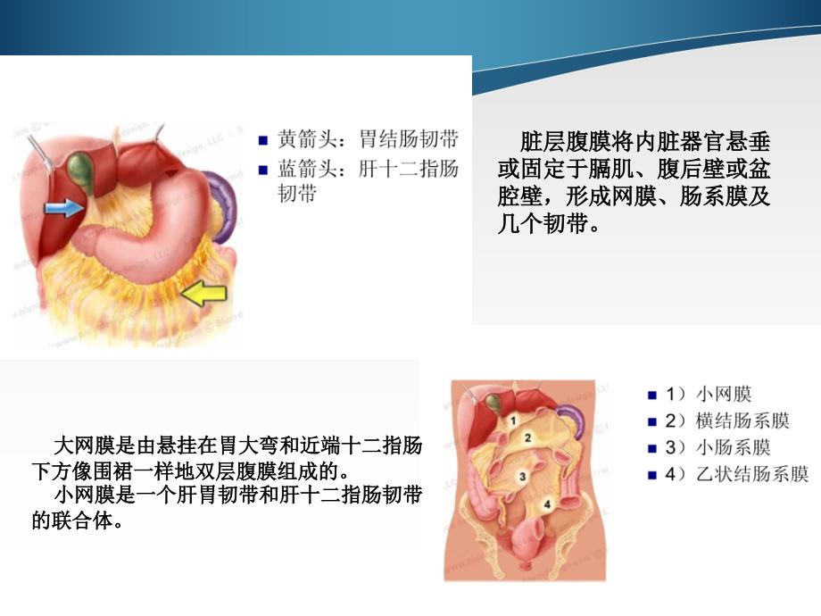 腹膜及肠系膜病变影像学分析ppt课件_第3页