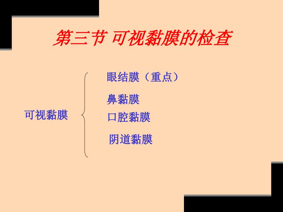 兽医临床诊断技术-—第二章-整体及一般检查二_第2页