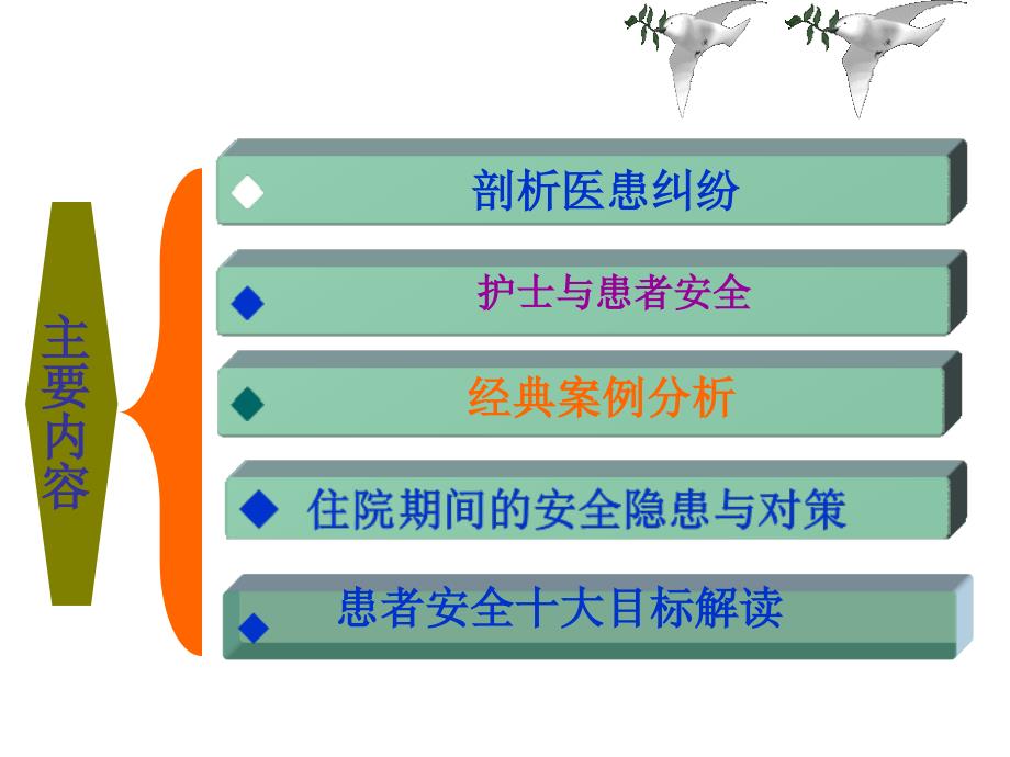 护士岗前培训护理安全教育_第2页