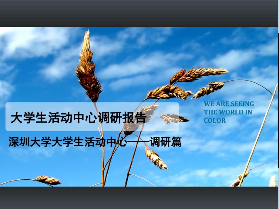 大学生活动中心案例分析报告_第1页