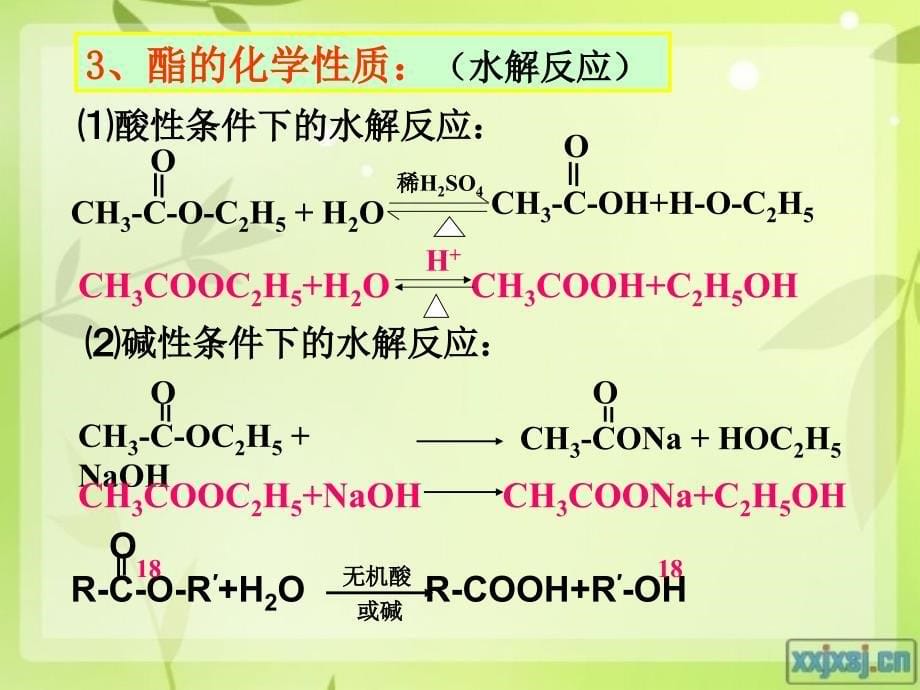 《油脂糖类蛋白质》PPT课件_第5页