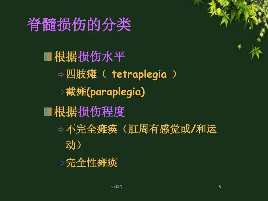 脊髓损伤的康复护理康复科ppt课件_第5页