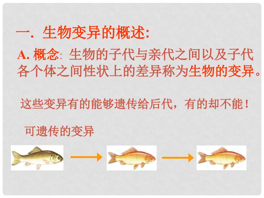 高中生物：基因突变和基因重组课件新人教版必修2_第4页