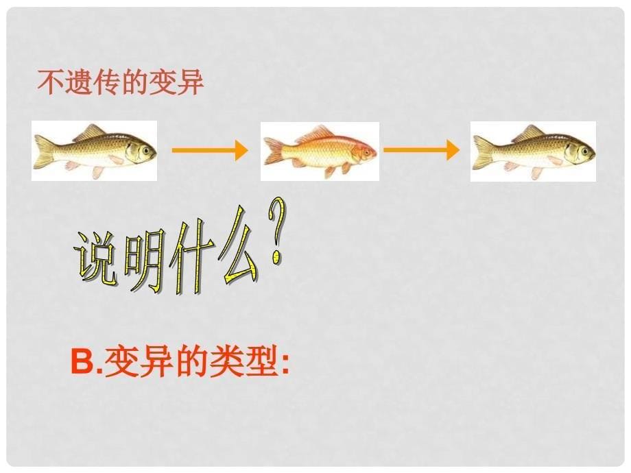 高中生物：基因突变和基因重组课件新人教版必修2_第5页