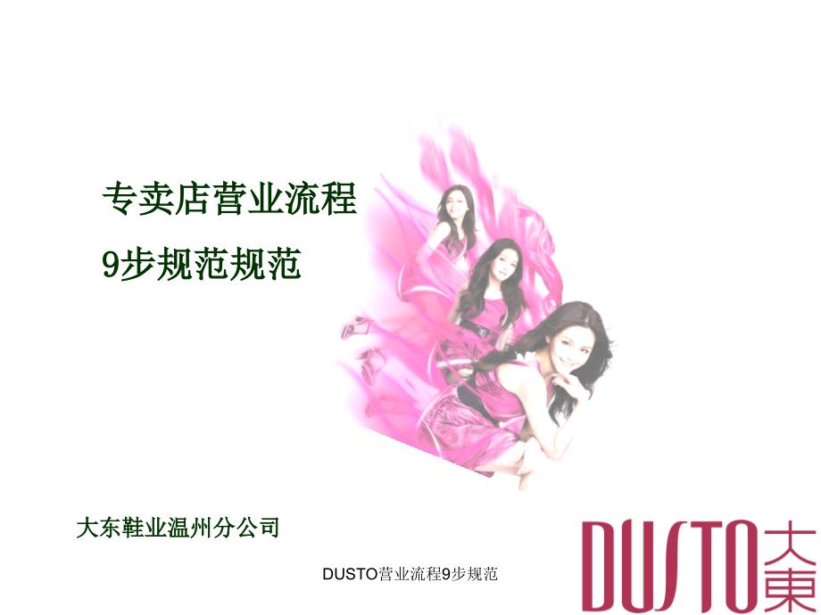 DUSTO营业流程9步规范课件_第1页