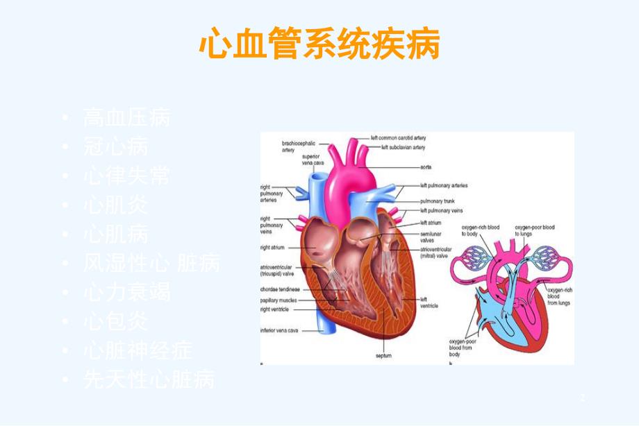 心血管药物教学课件_第2页