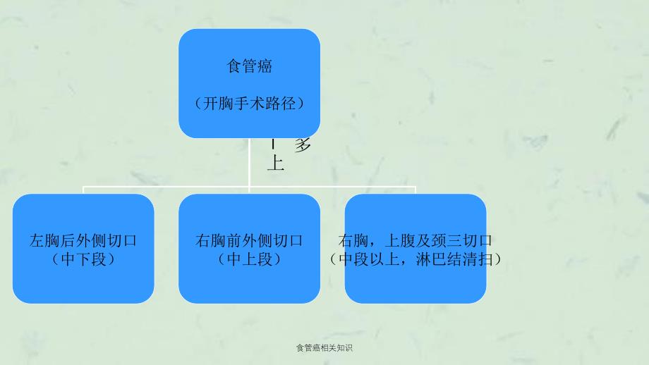 食管癌相关知识课件_第4页