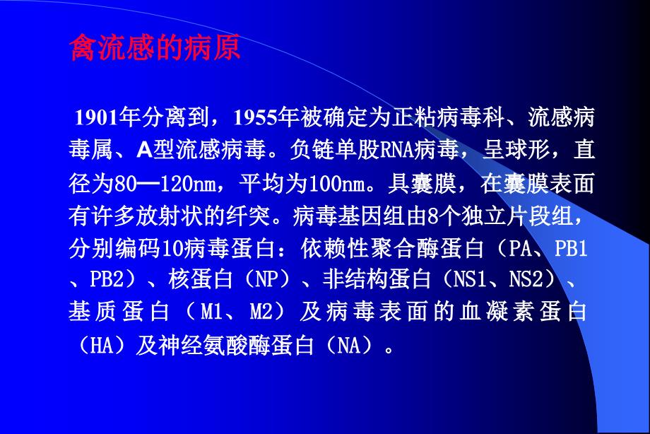 禽流感的流行诊断与防治课件_第3页