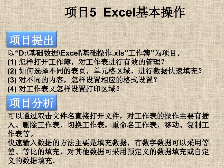 《Excel基本操作》PPT课件.ppt_第2页