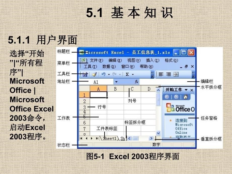 《Excel基本操作》PPT课件.ppt_第5页