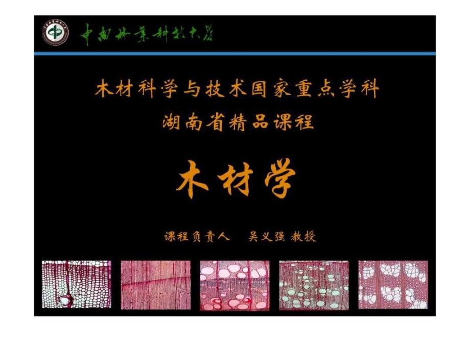 木材学第一章.ppt_第1页