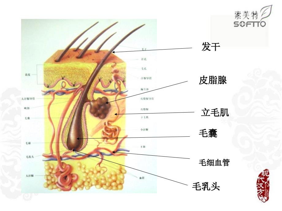 发理学基础知识课件_第4页