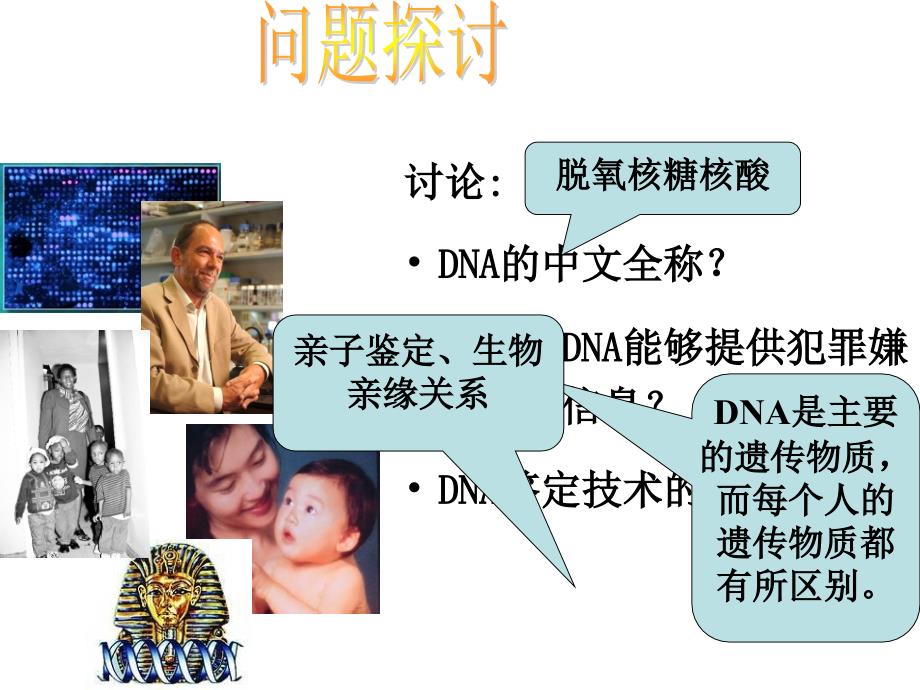 第一节核酸的结构和功能_第1页