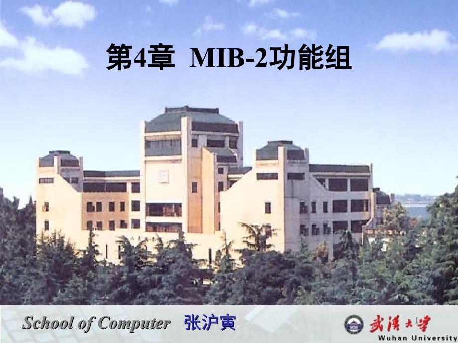 MIB2功能组文档资料_第1页