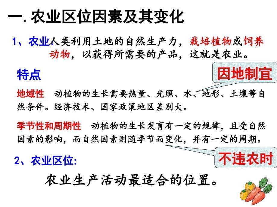 31农业区位的选择全_第5页