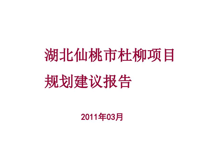 湖北仙桃市杜柳项目规划建议报告