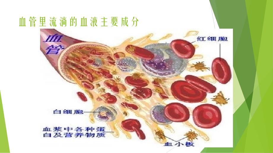 急性肾小球肾炎PPT_第2页