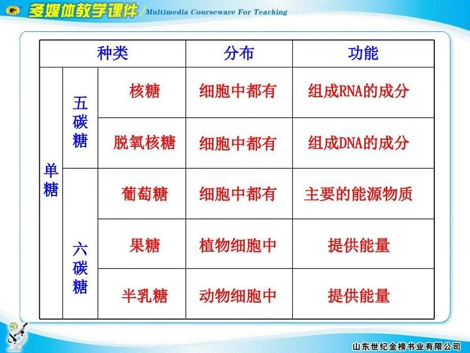 第4节细胞中的糖类和脂质_第5页