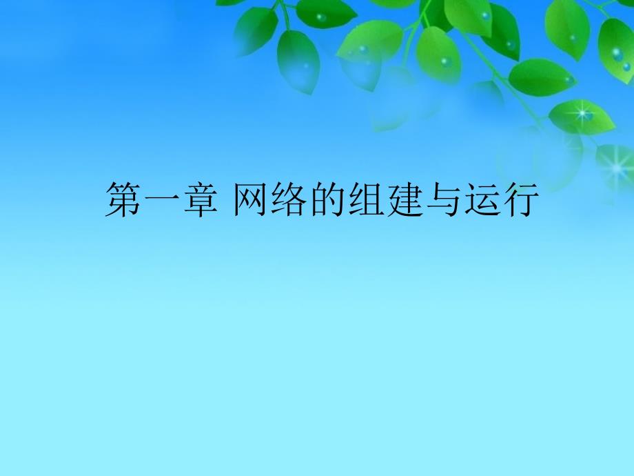 第一章网络的组建与运行_第1页