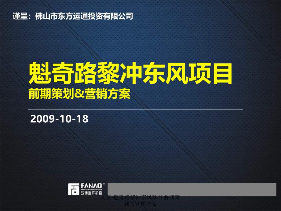 文案魁奇路黎冲东风项目前期策划与营销方案_第1页