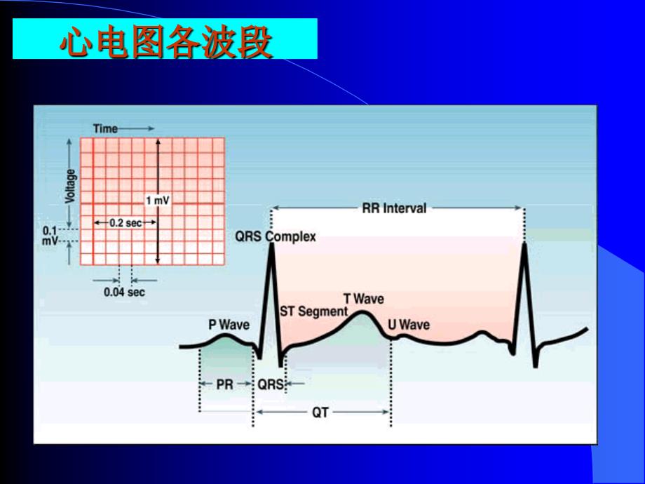 最新心电图岗前培训PPT课件_第2页