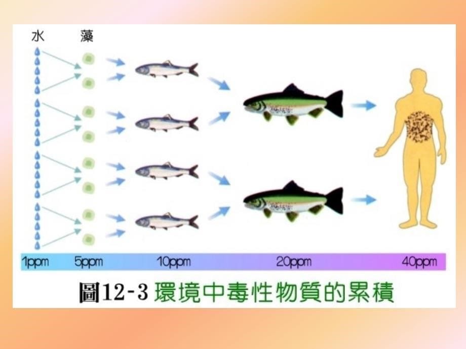 人类与环境教学_第5页