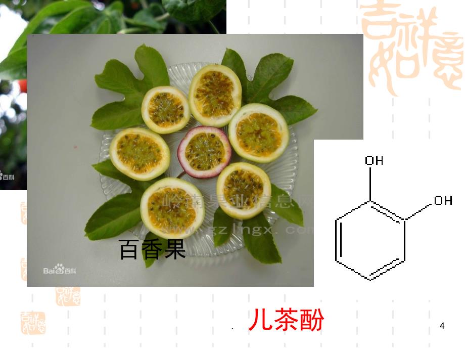 苯酚优质课PPT精品文档_第4页