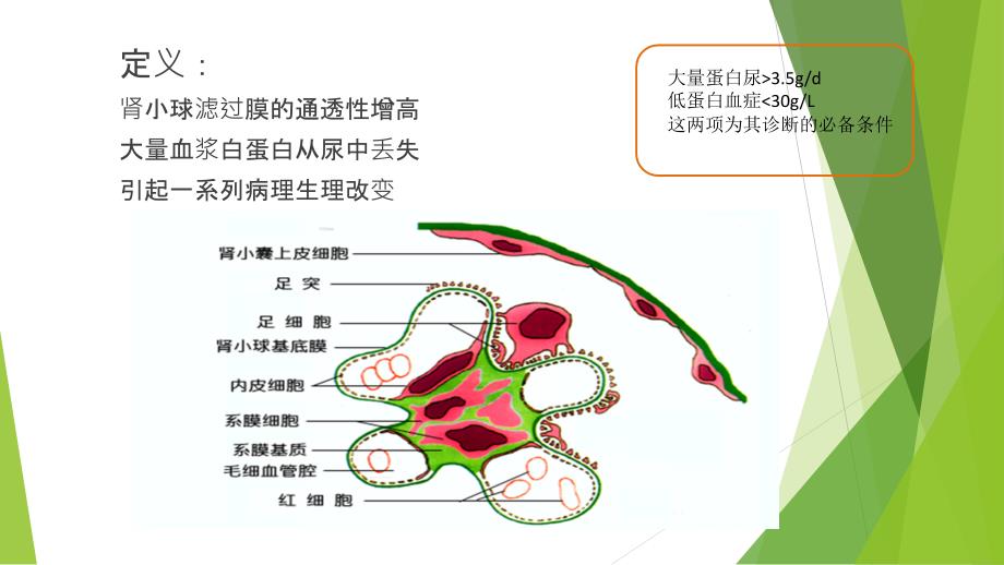 儿科肾病综合症_第2页