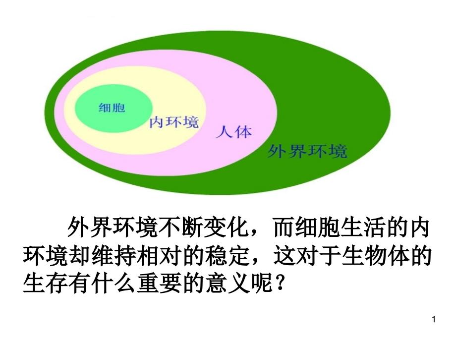 内环境稳态的重要性_第1页