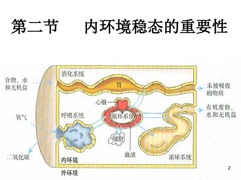 内环境稳态的重要性_第2页