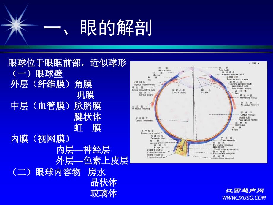 眼球及眼部疾病的超声诊断朱皖.ppt_第2页