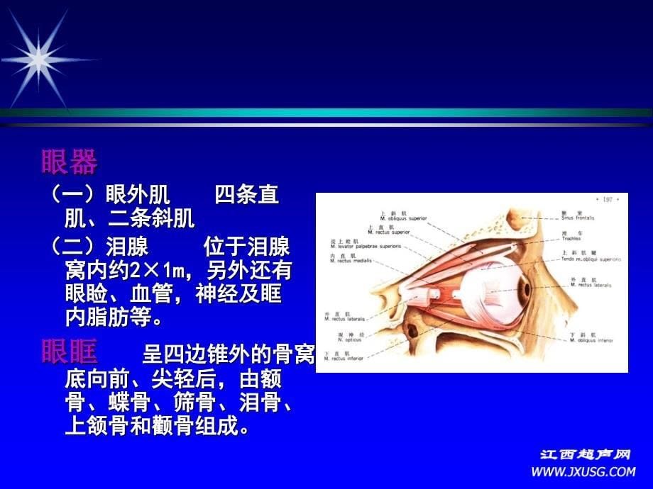 眼球及眼部疾病的超声诊断朱皖.ppt_第5页