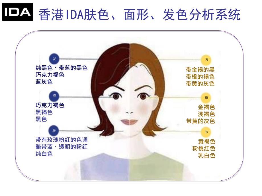 染发流程与操作技巧_第1页