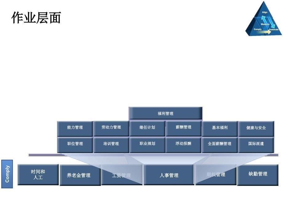 OraclePeopleSoft人力资源管理解决方案_第5页