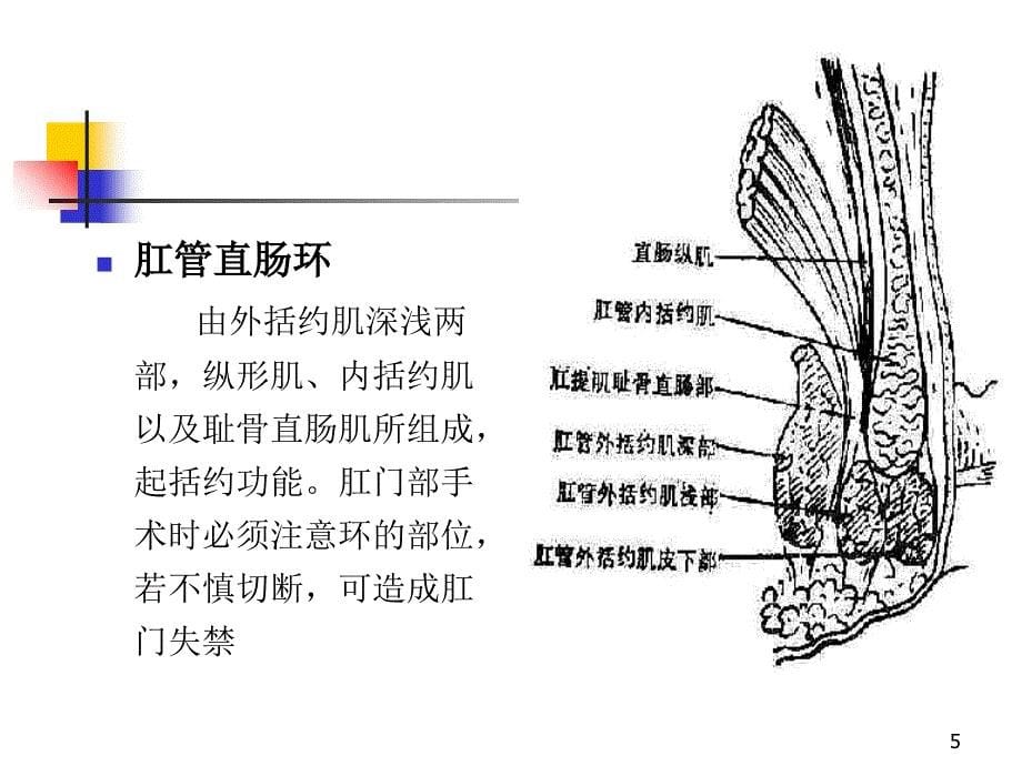 大肠肛管疾病病人护理_第5页