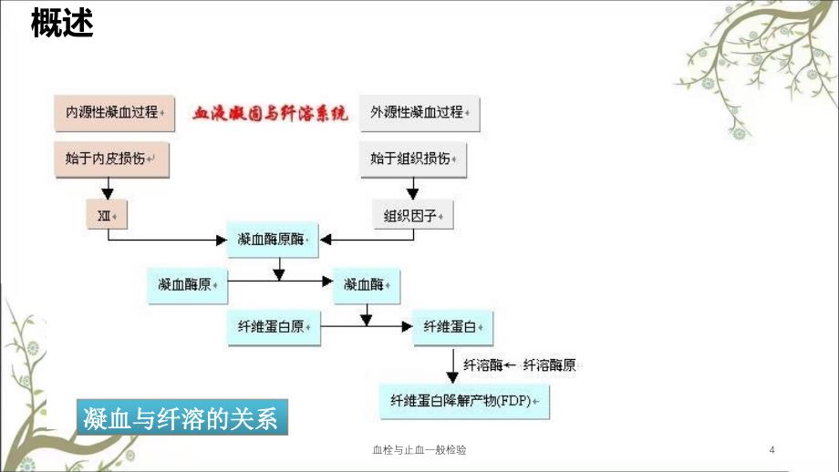 血栓与止血一般检验_第4页