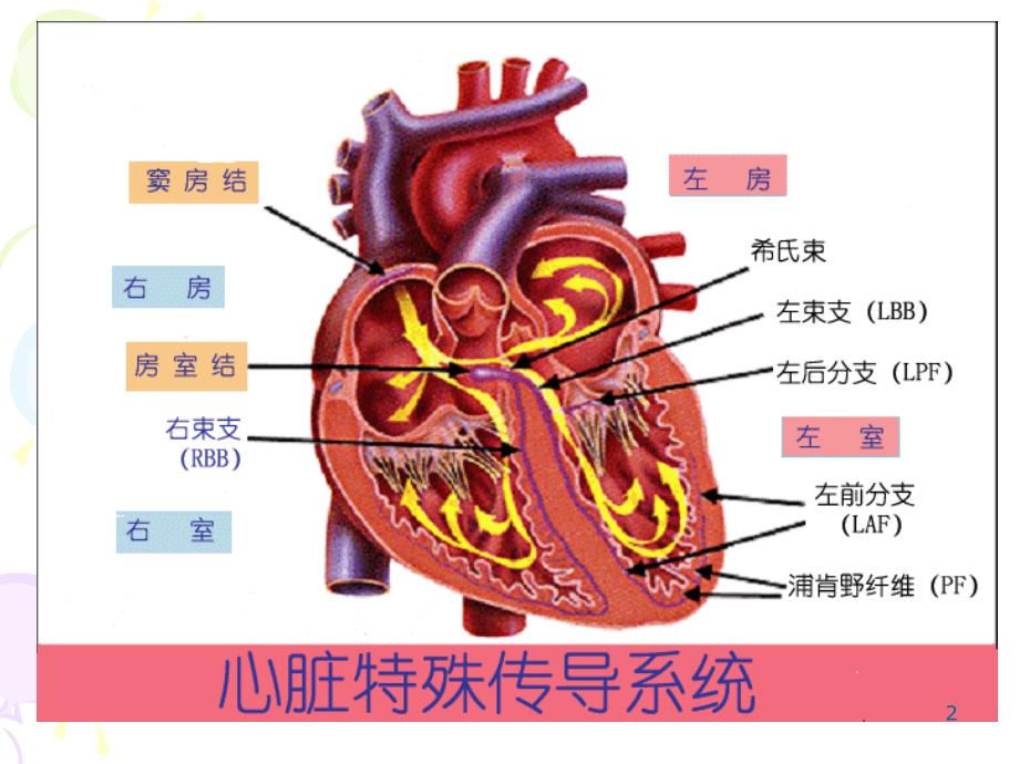 心脏传导阻滞课件_第2页