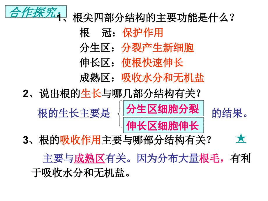 苏教版七年级上册第三单元第五章第二节根的生长_第3页